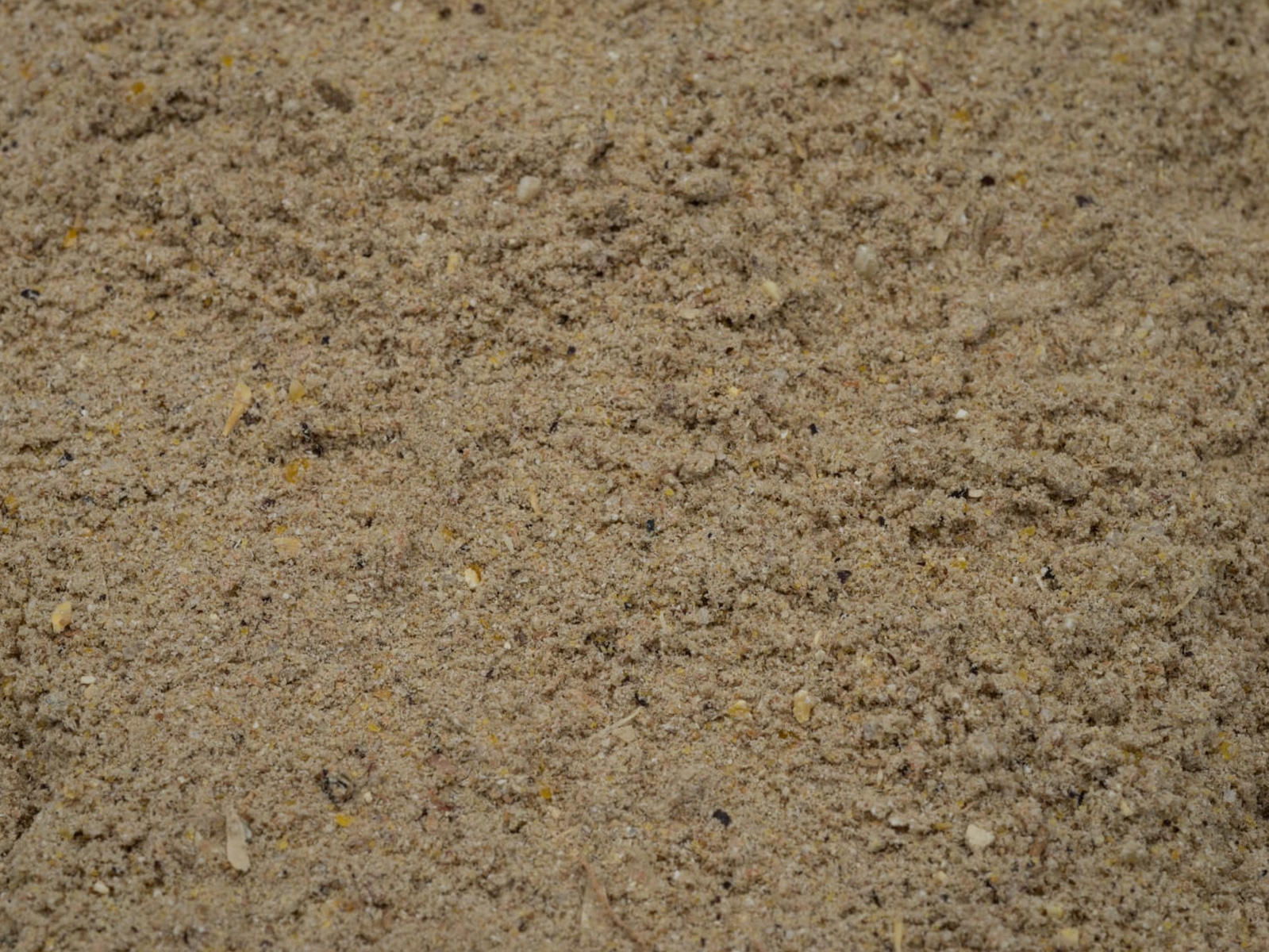 Frizzy - Image 3